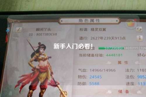 新手入門必看！