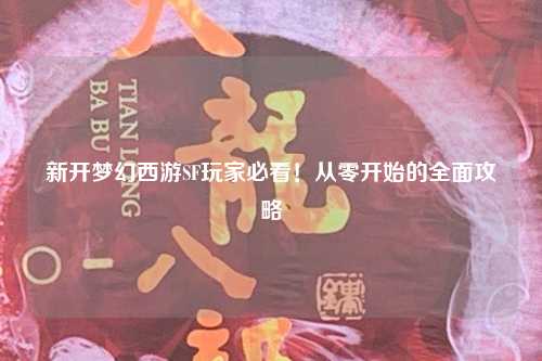 新開(kāi)夢(mèng)幻西游SF玩家必看！從零開(kāi)始的全面攻略