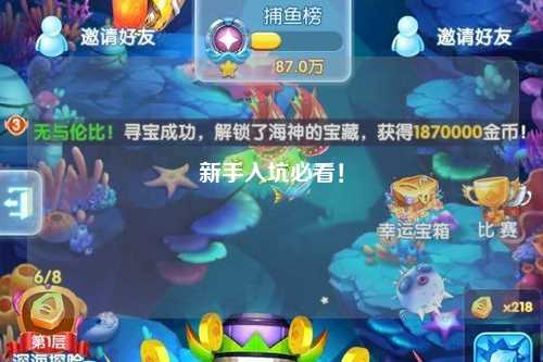 新手入坑必看！