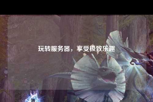 玩轉服務器，享受極致樂趣
